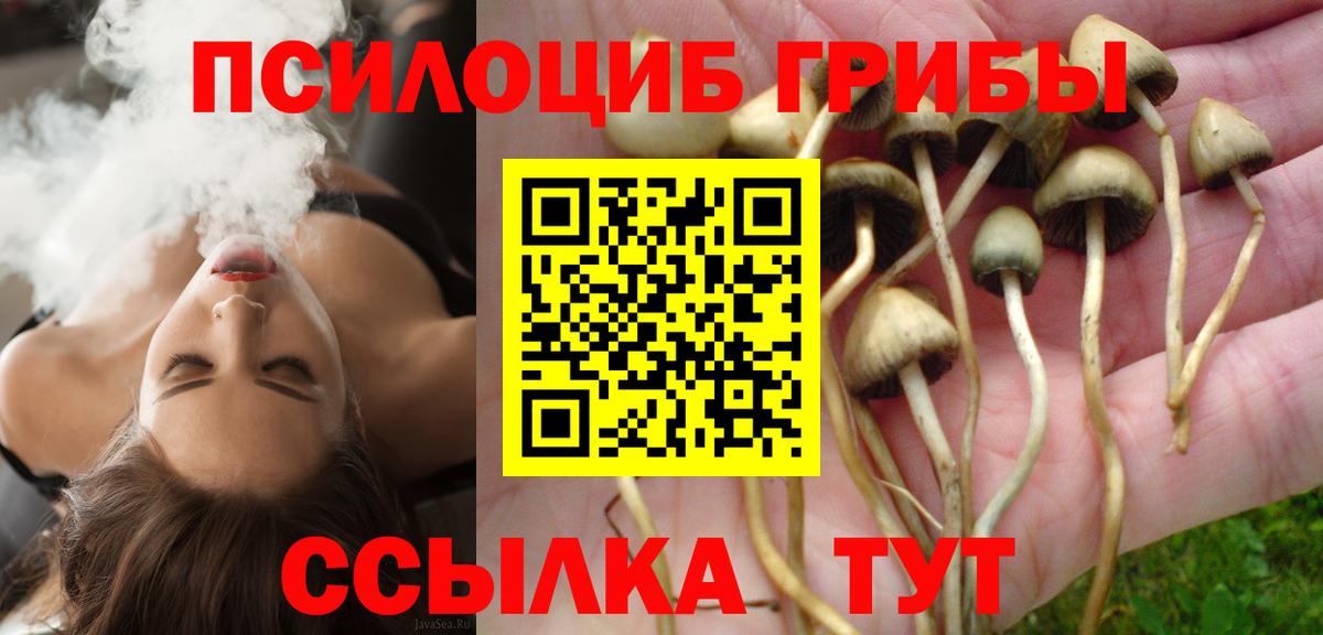Псилоцибиновые грибы ЛСД  Вход с VPN  Гурьевск 