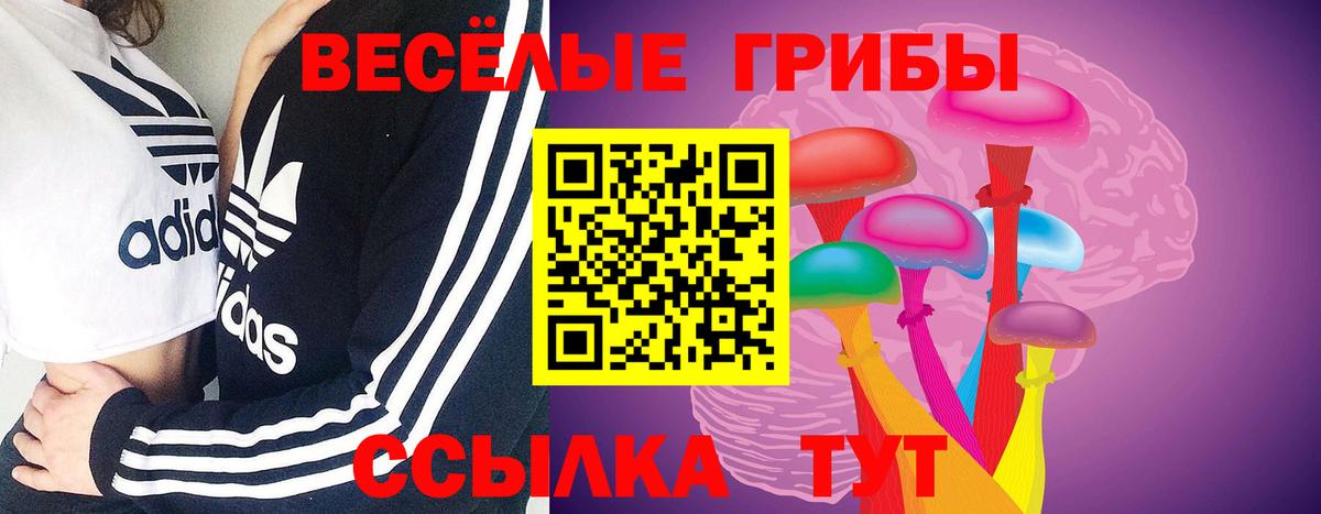 Галлюциногенные грибы Psilocybe Гурьевск